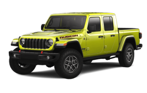 Rubicon X