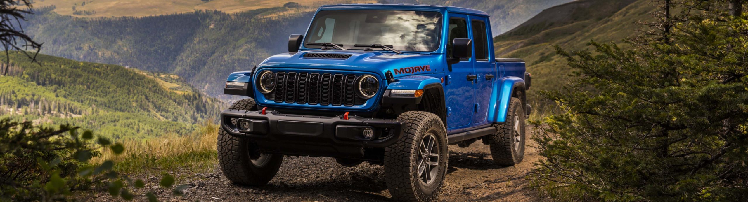 componentBN01_placeholder@2x